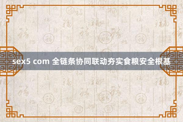 sex5 com 全链条协同联动夯实食粮安全根基
