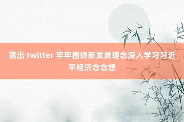 露出 twitter 牢牢围绕新发展理念深入学习习近平经济念念想