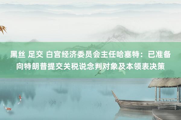 黑丝 足交 白宫经济委员会主任哈塞特：已准备向特朗普提交关税说念判对象及本领表决策
