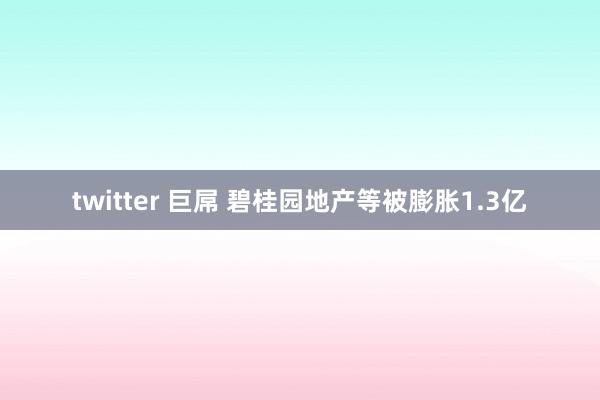 twitter 巨屌 碧桂园地产等被膨胀1.3亿