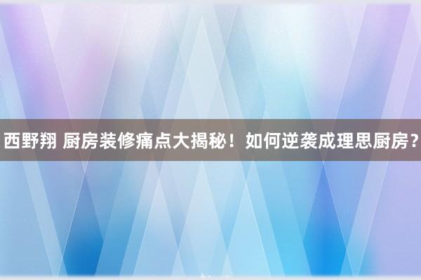 西野翔 厨房装修痛点大揭秘！如何逆袭成理思厨房？