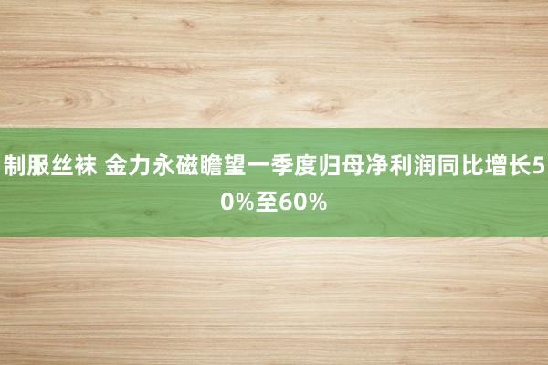 制服丝袜 金力永磁瞻望一季度归母净利润同比增长50%至60%