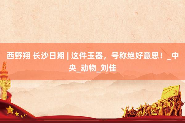 西野翔 长沙日期 | 这件玉器，号称绝好意思！_中央_动物_刘佳
