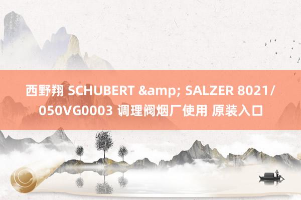 西野翔 SCHUBERT & SALZER 8021/050VG0003 调理阀烟厂使用 原装入口