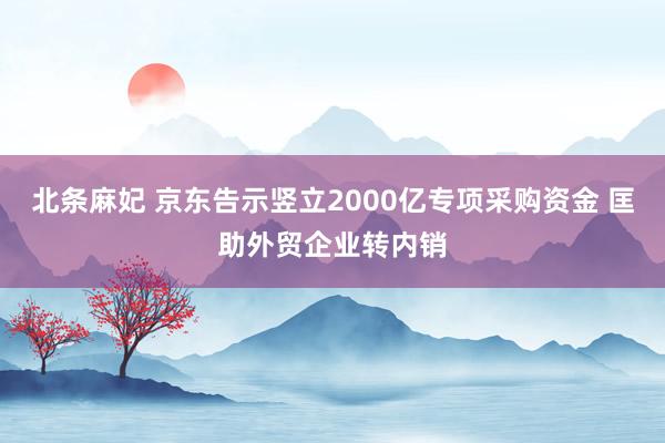 北条麻妃 京东告示竖立2000亿专项采购资金 匡助外贸企业转内销