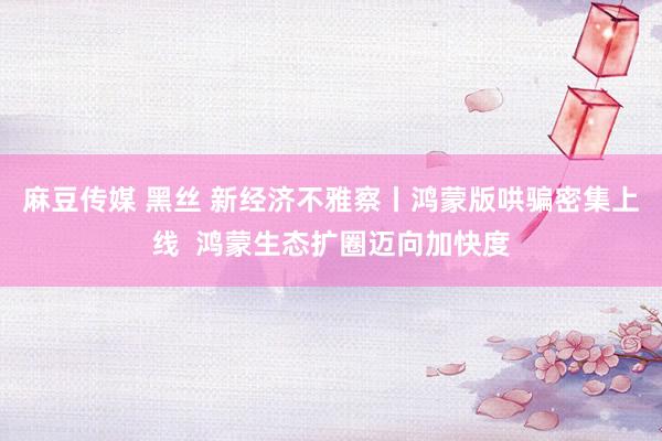 麻豆传媒 黑丝 新经济不雅察丨鸿蒙版哄骗密集上线  鸿蒙生态扩圈迈向加快度