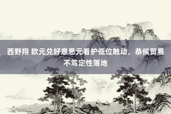 西野翔 欧元兑好意思元看护低位触动，恭候贸易不笃定性落地