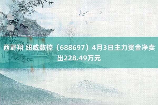 西野翔 纽威数控（688697）4月3日主力资金净卖出228.49万元