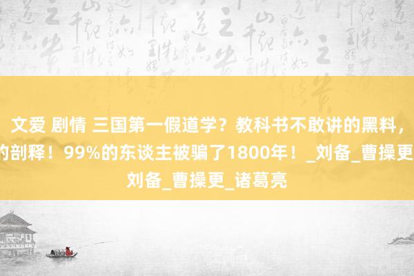 文爱 剧情 三国第一假道学？教科书不敢讲的黑料，颠覆你的剖释！99%的东谈主被骗了1800年！_刘备_曹操更_诸葛亮