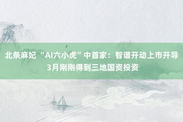 北条麻妃 “AI六小虎”中首家：智谱开动上市开导 3月刚刚得到三地国资投资