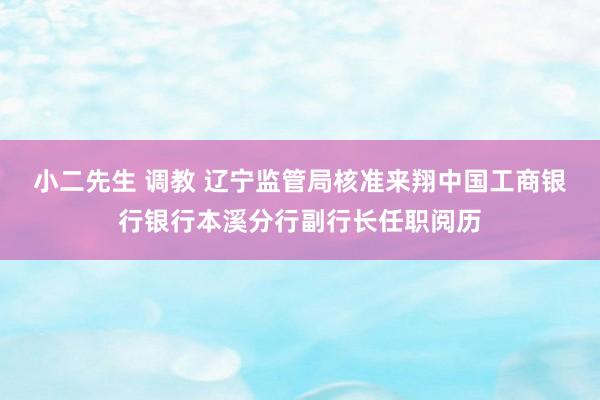 小二先生 调教 辽宁监管局核准来翔中国工商银行银行本溪分行副行长任职阅历