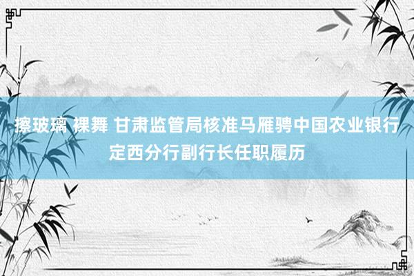 擦玻璃 裸舞 甘肃监管局核准马雁骋中国农业银行定西分行副行长任职履历