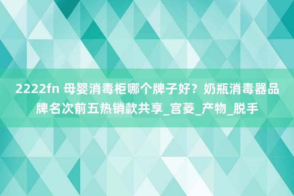 2222fn 母婴消毒柜哪个牌子好？奶瓶消毒器品牌名次前五热销款共享_宫菱_产物_脱手