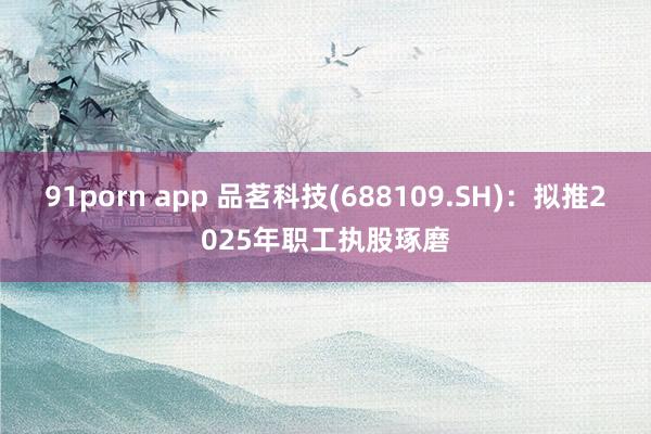 91porn app 品茗科技(688109.SH)：拟推2025年职工执股琢磨