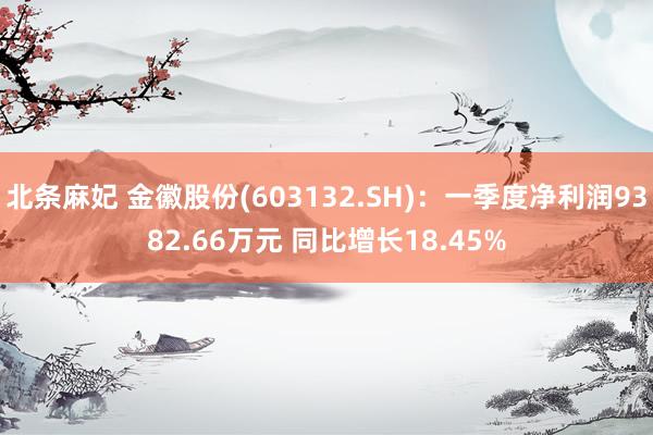 北条麻妃 金徽股份(603132.SH)：一季度净利润9382.66万元 同比增长18.45%