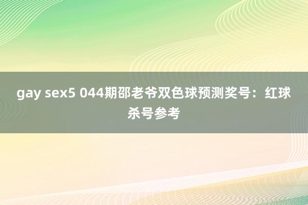 gay sex5 044期邵老爷双色球预测奖号：红球杀号参考