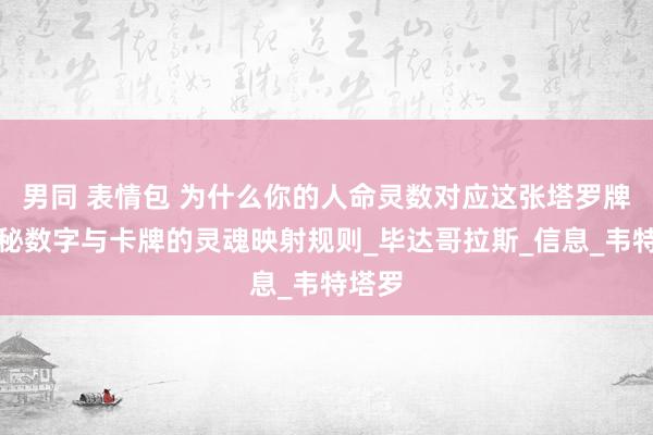 男同 表情包 为什么你的人命灵数对应这张塔罗牌？揭秘数字与卡牌的灵魂映射规则_毕达哥拉斯_信息_韦特塔罗