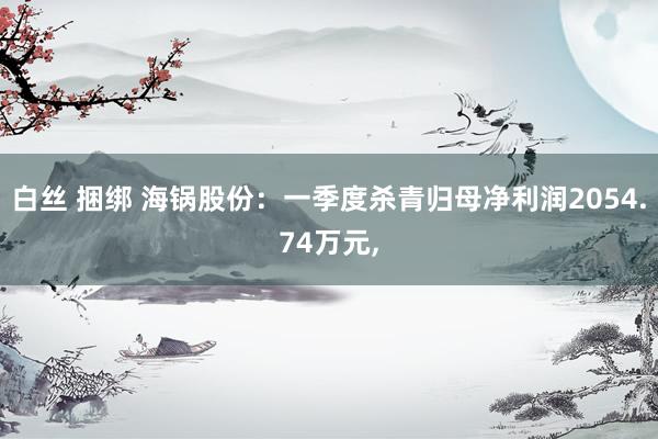 白丝 捆绑 海锅股份：一季度杀青归母净利润2054.74万元,
