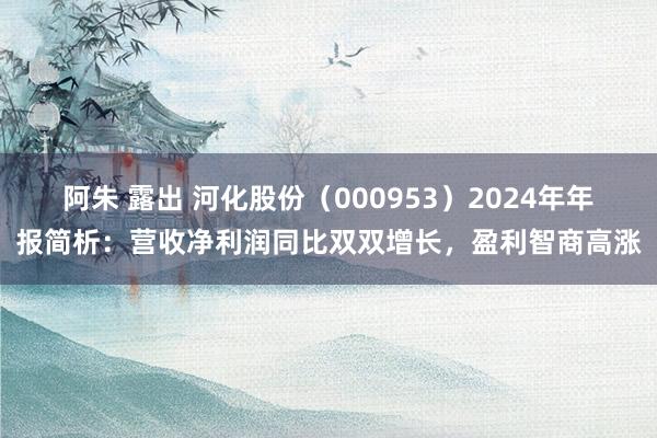 阿朱 露出 河化股份（000953）2024年年报简析：营收净利润同比双双增长，盈利智商高涨