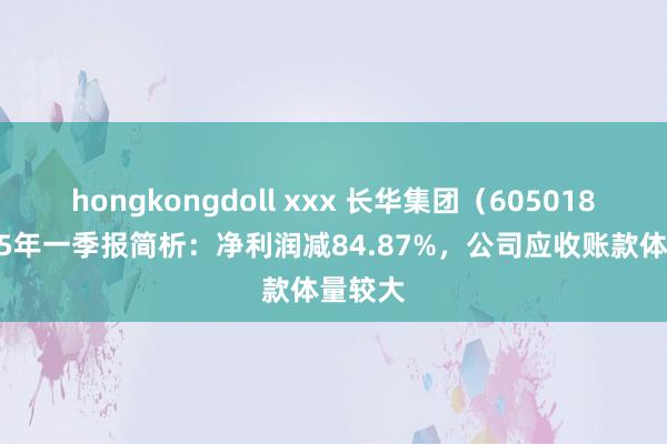 hongkongdoll xxx 长华集团（605018）2025年一季报简析：净利润减84.87%，公司应收账款体量较大