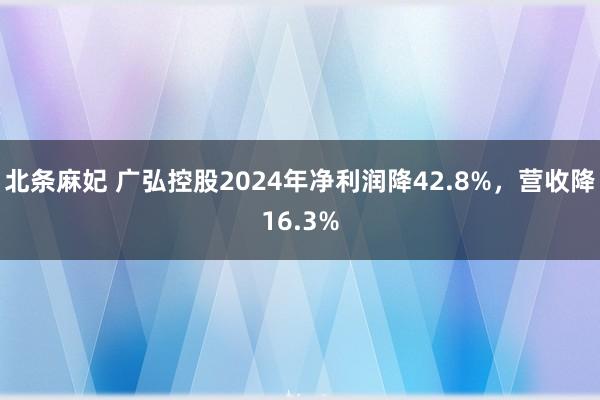 北条麻妃 广弘控股2024年净利润降42.8%，营收降16.3%