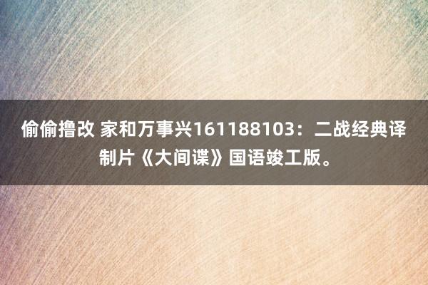 偷偷撸改 家和万事兴161188103：二战经典译制片《大间谍》国语竣工版。